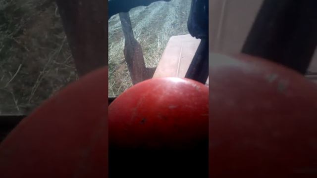 Т25 с роторной косилкой виракс. Потянет ли??? смотреть онлайн