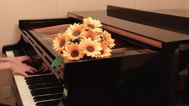 映画「ひまわり」 смотреть онлайн