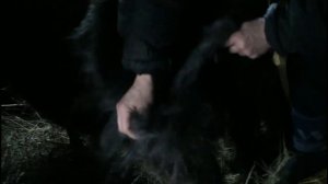 Вычёсываем пуховую придонскую козу