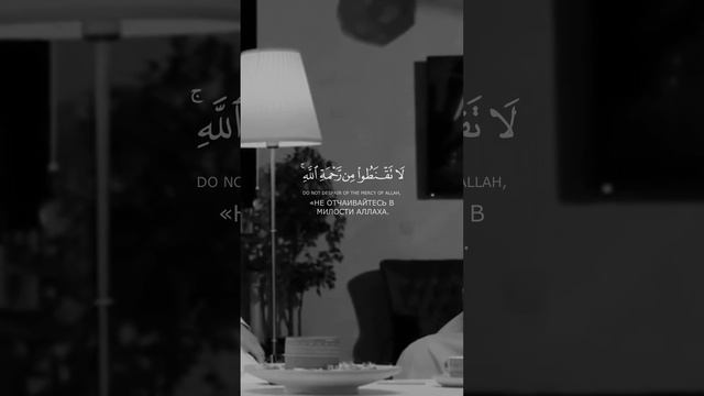 Сура 39 Аз-Зумар Чтец Мансур Ас-Салими аят 53 #истина #пророк #ислам #коран #религия #сунна #сура смотреть онлайн