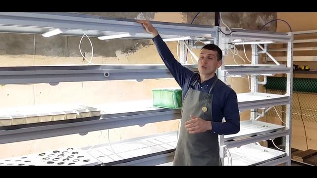 Ферма для выращивания микрозелени и витграсс смотреть онлайн