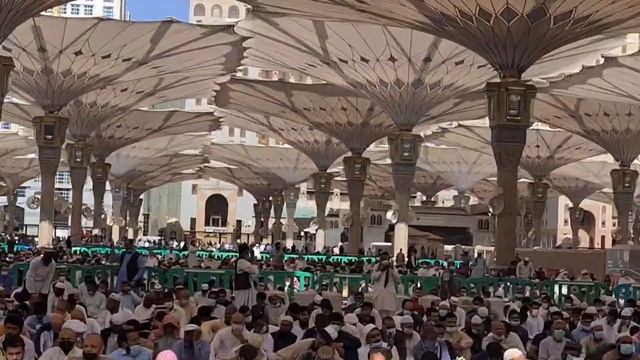 столько народа много ма ша Аллах во время намаза смотреть онлайн