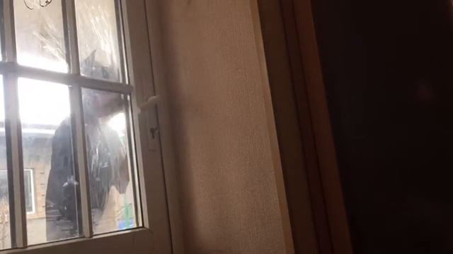 Доберман вскрывает дверь смотреть онлайн