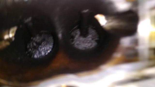 Чистка выпускных клапанов 1.8 tsi CDAB смотреть онлайн