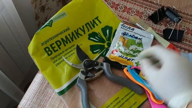 Как хранить георгины #саднадежды #какхранитьгеоргины смотреть онлайн