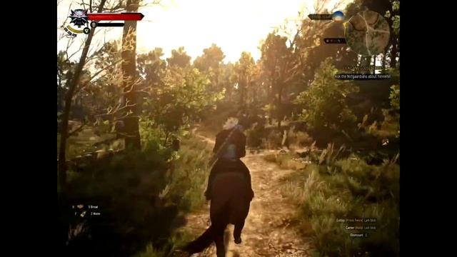 Witcher 3 on R7 250 2gb GDDR5| 960p | High Setting | смотреть онлайн