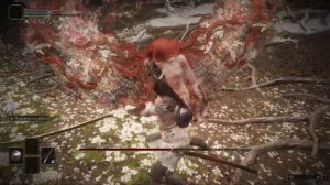 Маления Без Урона Уровень 1 [Malenia RL1, No Hit, No Bloodhound Step, Solo]