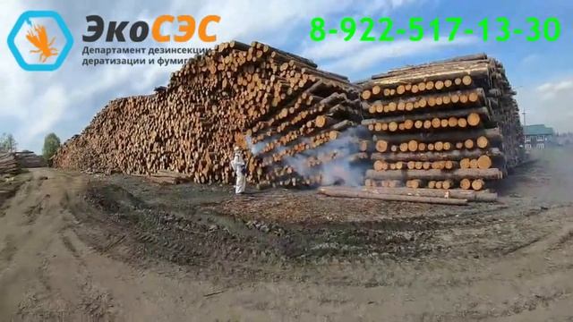 Профилактическая обработка древесины от жука короеда смотреть онлайн