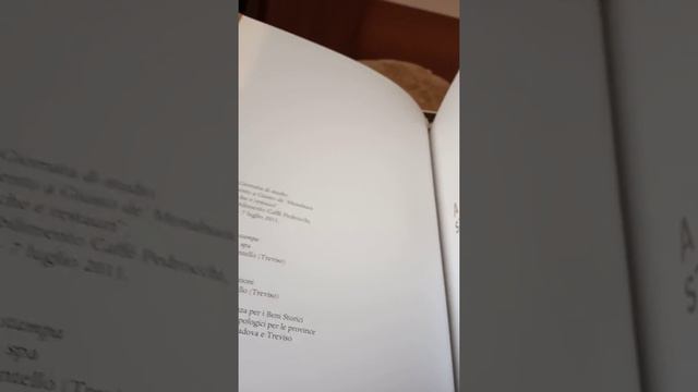 Libro d'arte dalla A alla Z....Da Guariento a Giusto de Menabuoi. Nicola Levoli. 700 lombardo смотреть онлайн