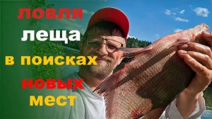 в поисках леща