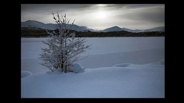 John McDermott - ♫ Auld Lang Syne♫ смотреть онлайн