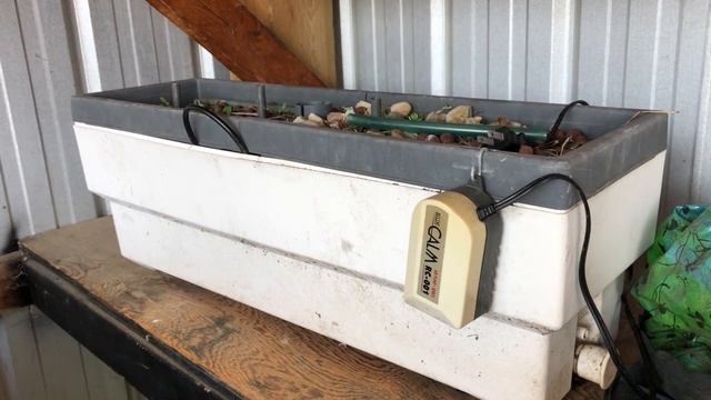 We Are Back At The Dump Let’s Dive In смотреть онлайн