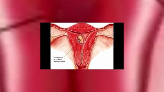 Faint pink line in pregnancy test // প্রেগন্যান্সি পরীক্ষায় হালকা গোলাপি দাগ থাকলে করবেন смотреть онлайн