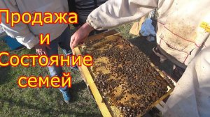 О продаже и Состояние семей на 26.04.2020