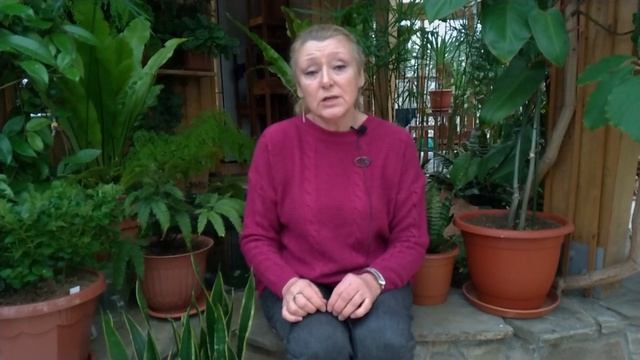 Спросите Ольгу Борисовну № 1 смотреть онлайн