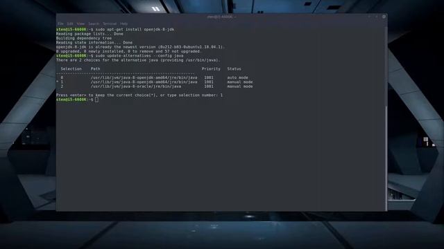 #247 ? Ubuntu 18.04.2 LTS - Install and configure OpenJDK (Java) for Minecraft смотреть онлайн