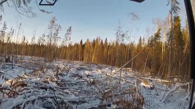 Едем на Заимку смотреть онлайн