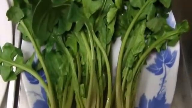 Ю.Корея 133 Суп двенджан ччиге (된장찌개)