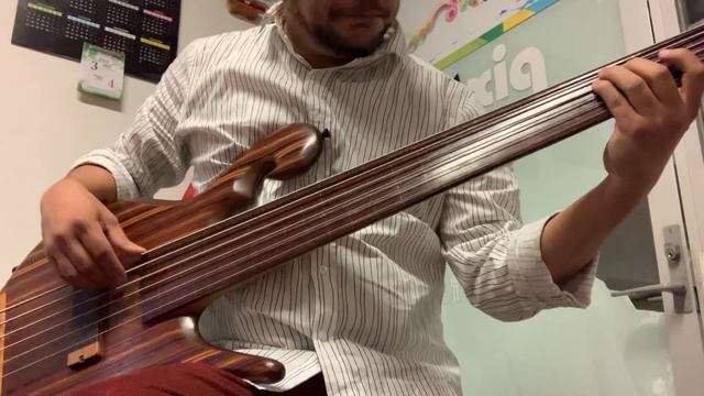 Carl Thompson Fretless 6 string Bass смотреть онлайн