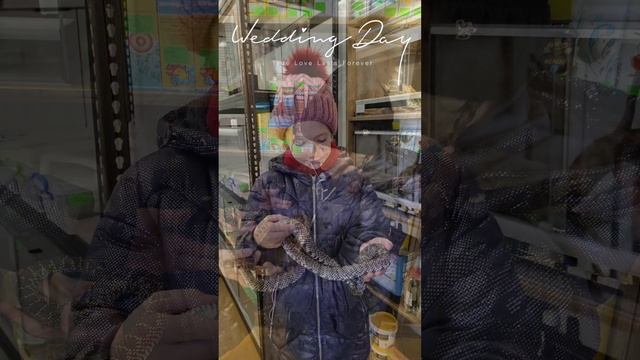 Поход в зоомагазин #агама #змея #черепашка #животные #домашниеживотные #дети #природа #ставрополь смотреть онлайн