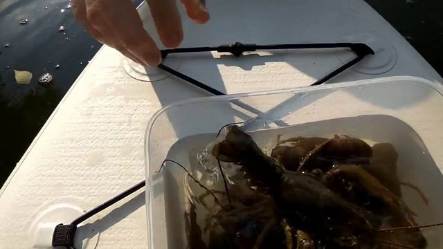 Качок полез за раками в Москва-реку... смотреть онлайн