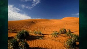 "Пустыня", Окружающий мир 4 класс ч.2, с.32-34, Школа XXI век.