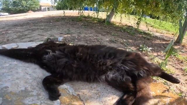 Мастерство в Творчестве