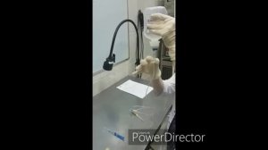 Как поставить капельницу собаке