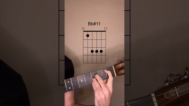 Andalusian cadence in Dm смотреть онлайн