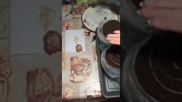 Посев перца Рамиро смотреть онлайн