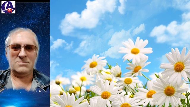 За сколько километров собака чувствует человека? Харитонов Г.М смотреть онлайн