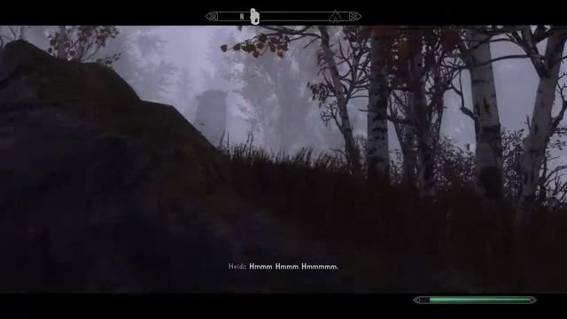 Test - Playing modded Skyrim with M'Rissi смотреть онлайн