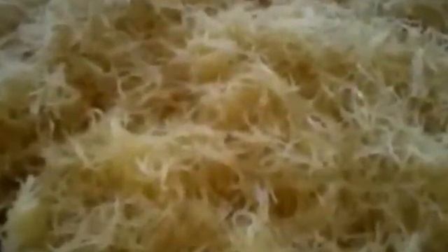 طريقة تحضير السفة المدفونة بطريقة سهلة و بسيطة смотреть онлайн