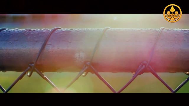 Черное сердце.Шейх Хасан Али