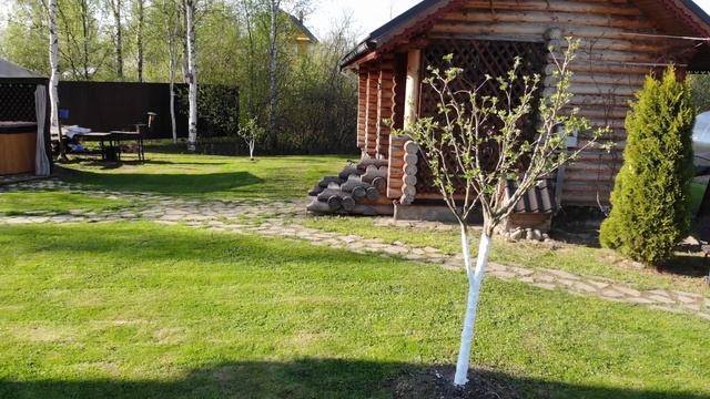 Дизайн красивого сада.