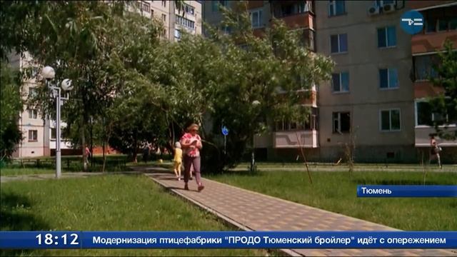 Змеи в городе смотреть онлайн