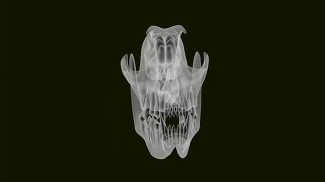 X-ray Effect in Blender 3D.wmv смотреть онлайн