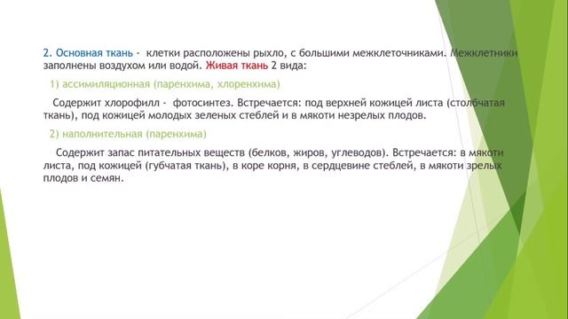 Органы растений Растительные ткани смотреть онлайн