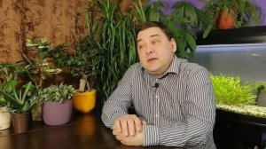 Антуриум уход в домашних условиях. 4 минуты и секреты ваши