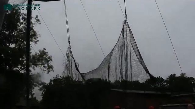 Стальной шатёр смотреть онлайн