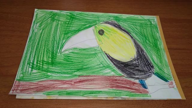 рисуем тукана карандашами???✏ смотреть онлайн
