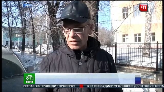 Сорвавшая С Цепи Собака Покусала Соседских Детей