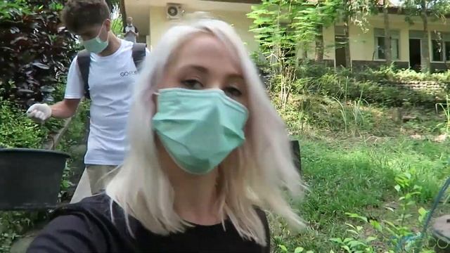 GoEco VOLUNTEER Trip Vlog - Volunteering with Orangutans in Java смотреть онлайн