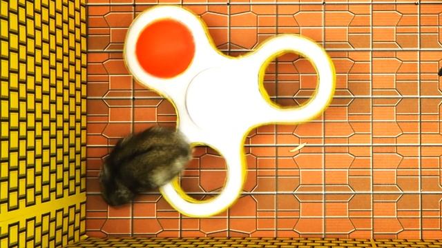 ? Uncovering the Hidden Level of a Hamster Maze Game! смотреть онлайн
