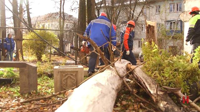 НАШИ НОВОСТИ:против мусора,прощание с Эдуардом Нилоговым,дерево упало на авто,центр "Уникум",СКИДКА смотреть онлайн