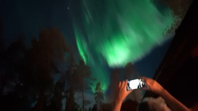 6-Day Arctic Winter Trip with Huskies | Mountain Evacuation, Hard Wind, Wild Nature смотреть онлайн