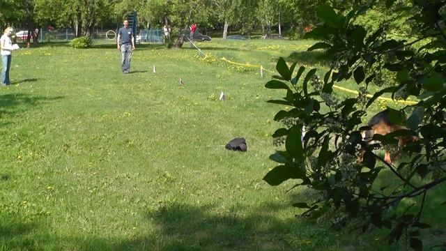 "Путёвка в жизнь". ОКД. смотреть онлайн