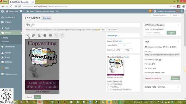 Using the Wordpress Media library to Edit Images смотреть онлайн