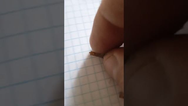 переключатель ддр с позолотой смотреть онлайн