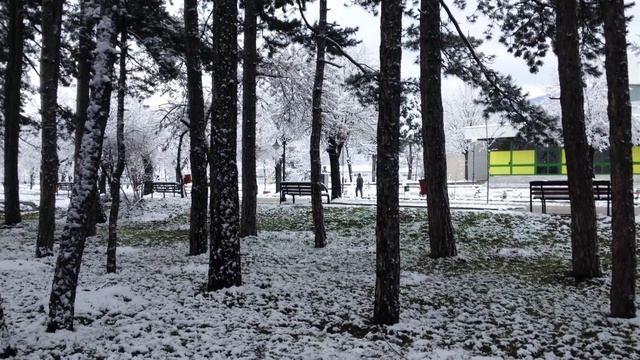Первый снег в Новом году. First snow in the New year. смотреть онлайн